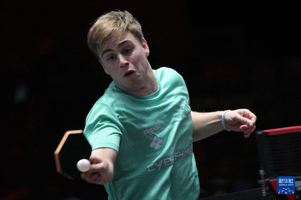 勇士队与灰 勇士队与灰